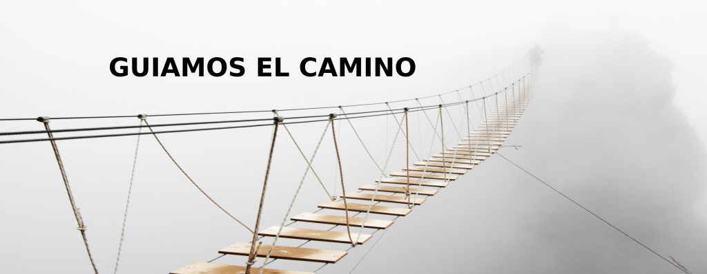 Guiamos el camino